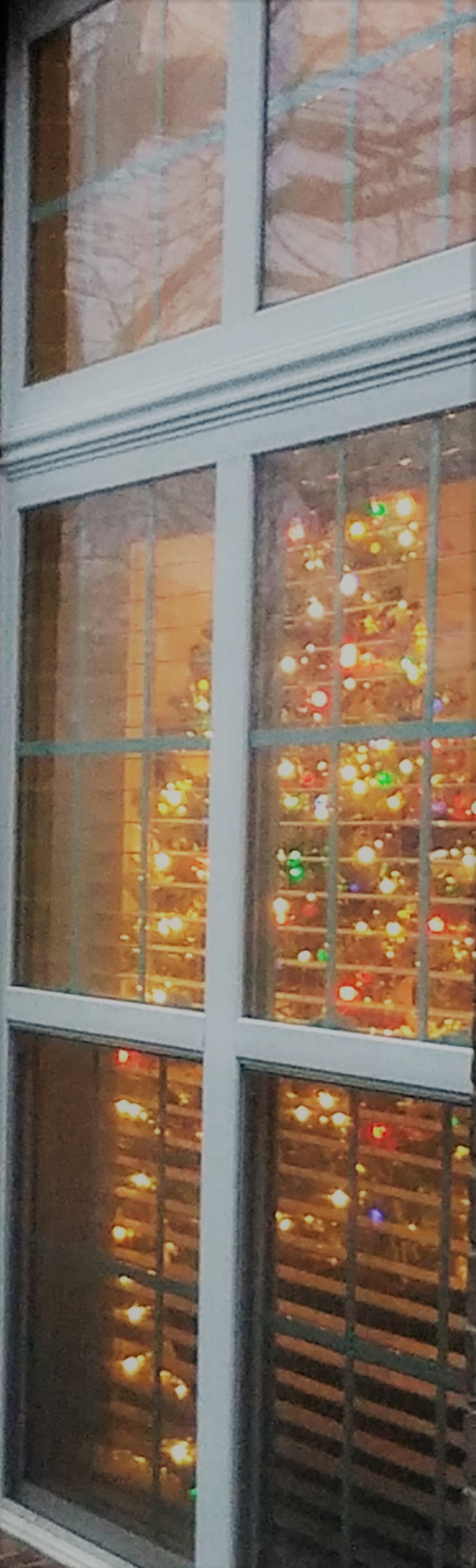 Window Christmas tree (2)